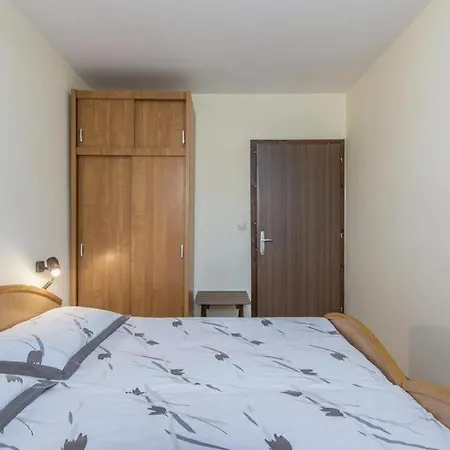 Pintar * Novigrad (Istria)