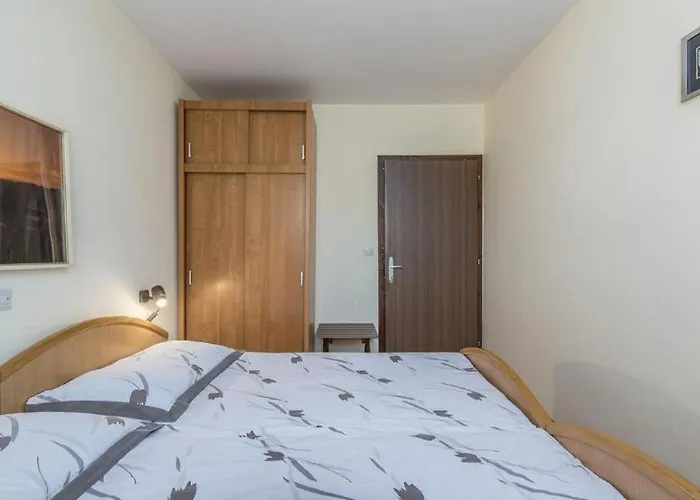 Pintar * Novigrad Istria